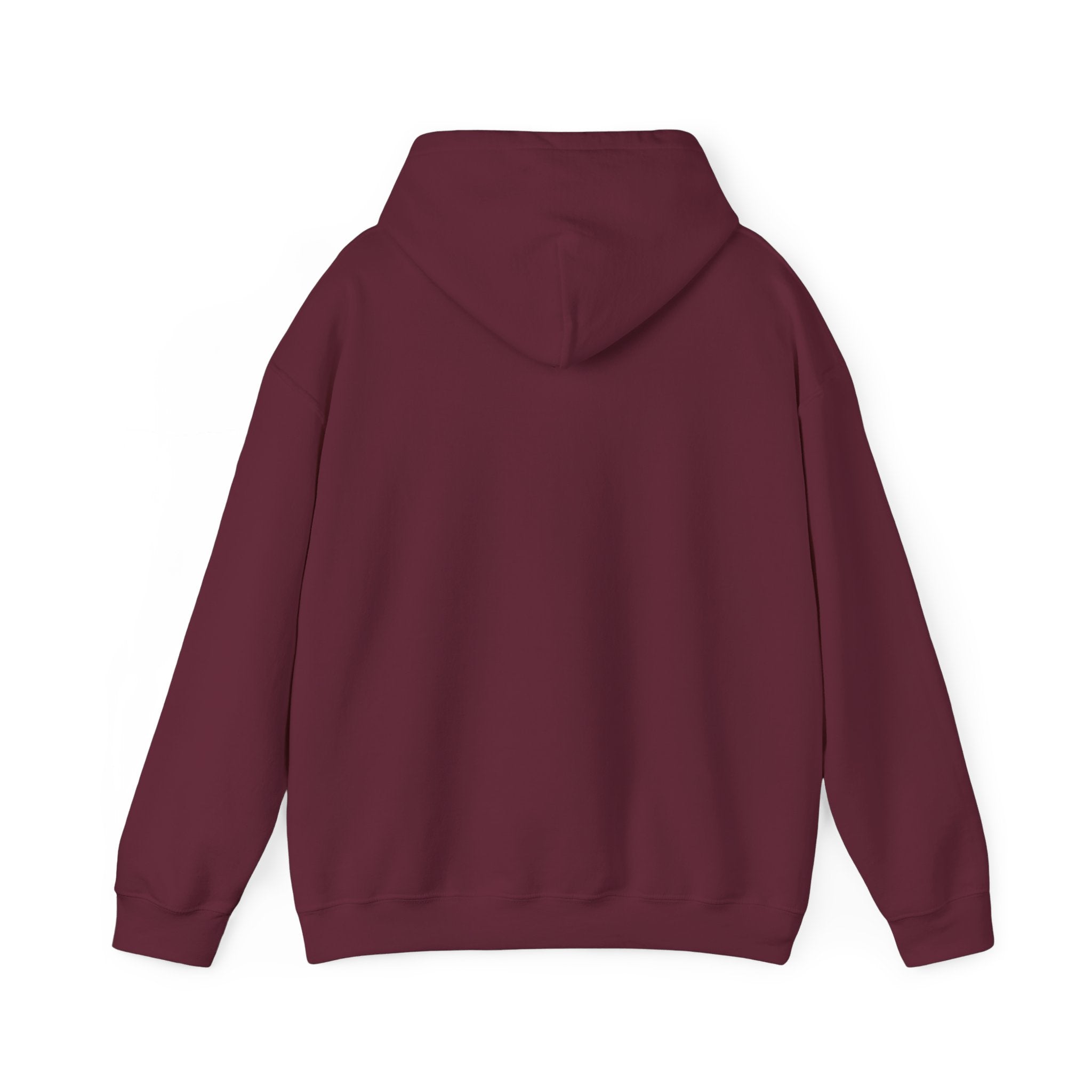 WHAT'S YOUR HUSTLE? The Boxing Program™ Hoodie | Heavy Cotton | (4 COLORS) - What's Your Hustle?