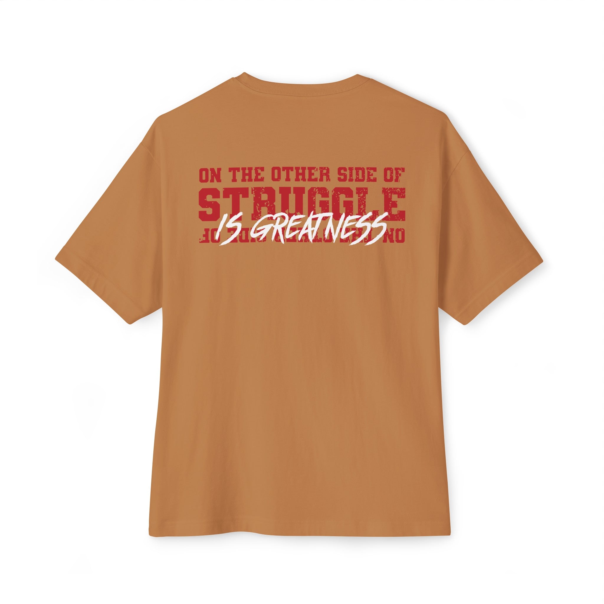 ON THE OTHER SIDE OF STRUGGLE, IS GREATNESS BOXY T-shirt | (3 COLORS) - What's Your Hustle?